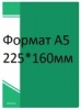Папка inФормат, А5, 20 вкладышей, 15мм, 500мкм, зеленый, Np01A5-20G