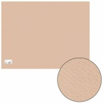 Бумага для пастели Canson, 500*650мм, 160г/м2, золотисто-розовый, 125713